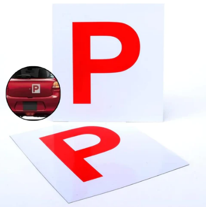 Magnetic P1 Plates