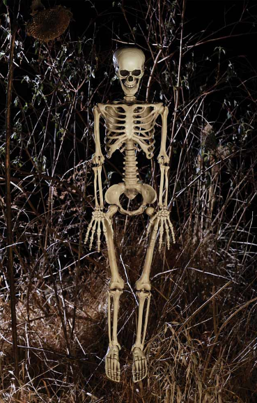 Mini Skeletons 3pk