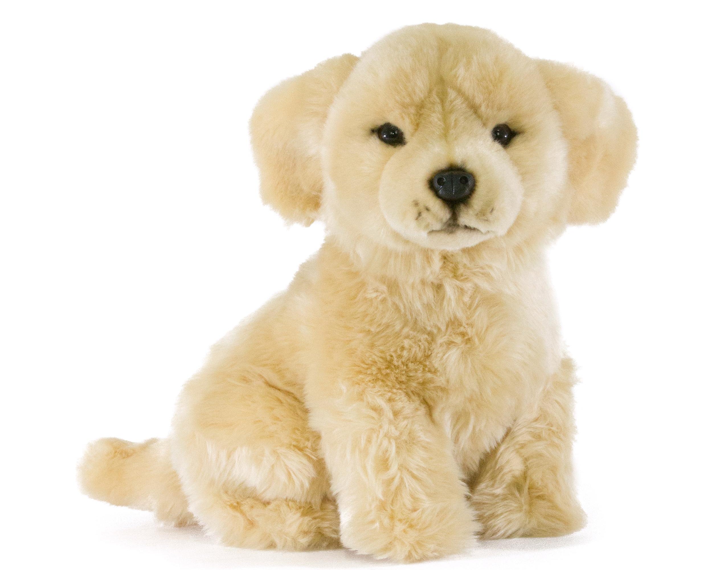 Bocchetta plush toys.