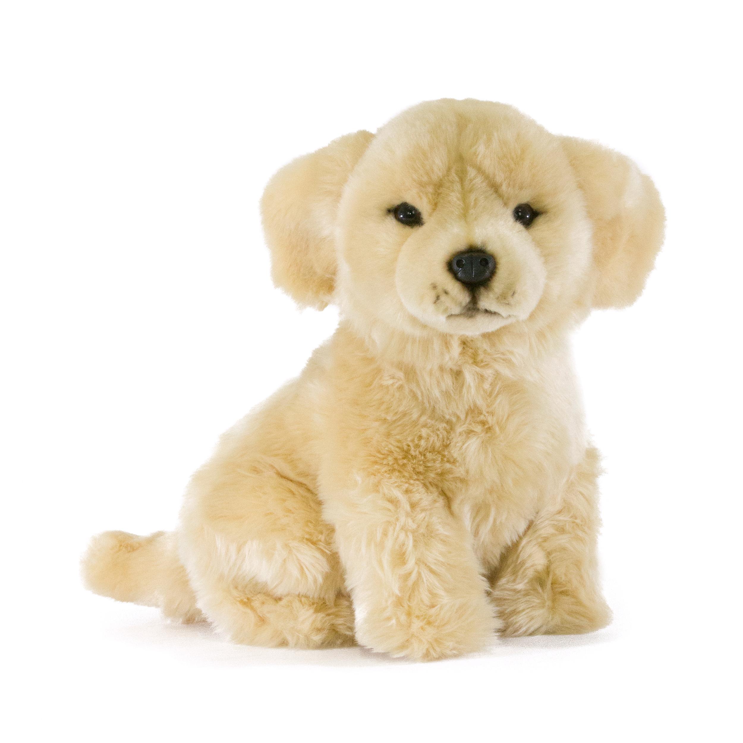 Bocchetta plush toys. – More Than News