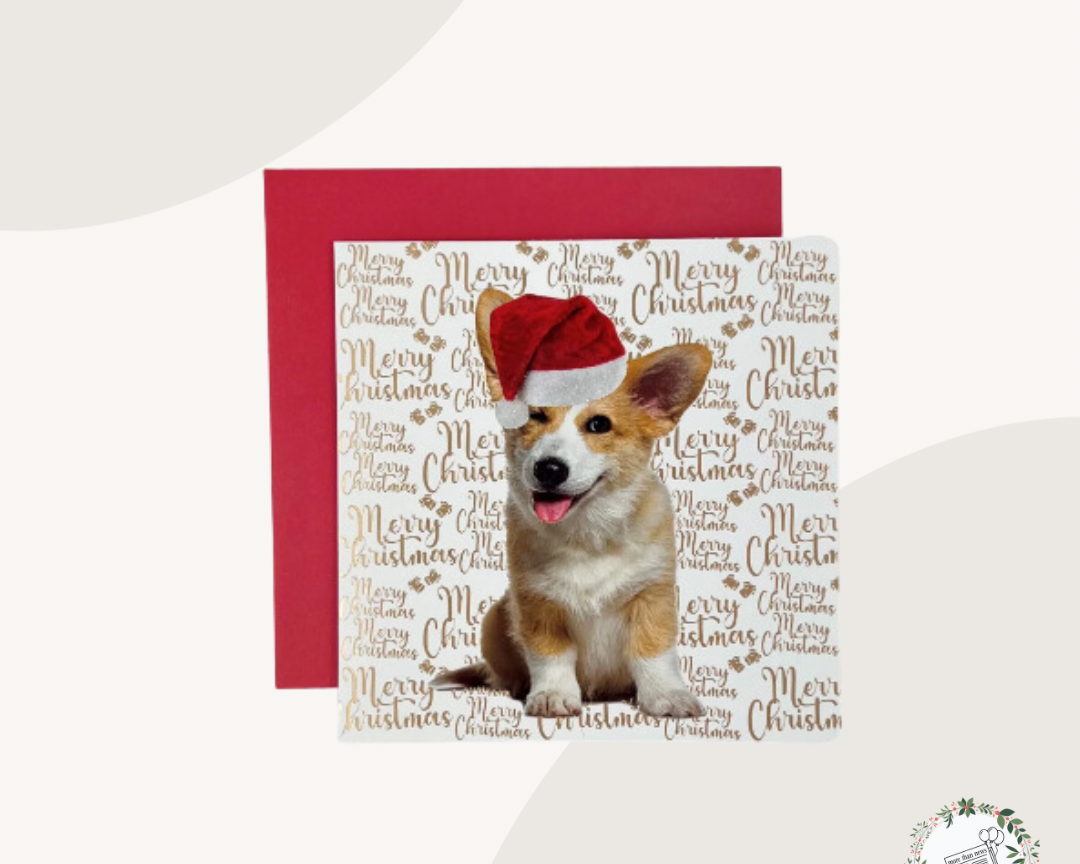 embrace the spirit of the giving season.