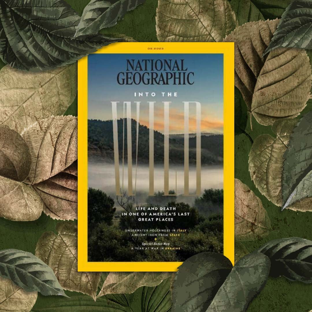 National Geographic January 2024 More Than News