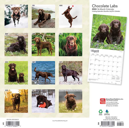 2024 Chocolate Labs Calendar
