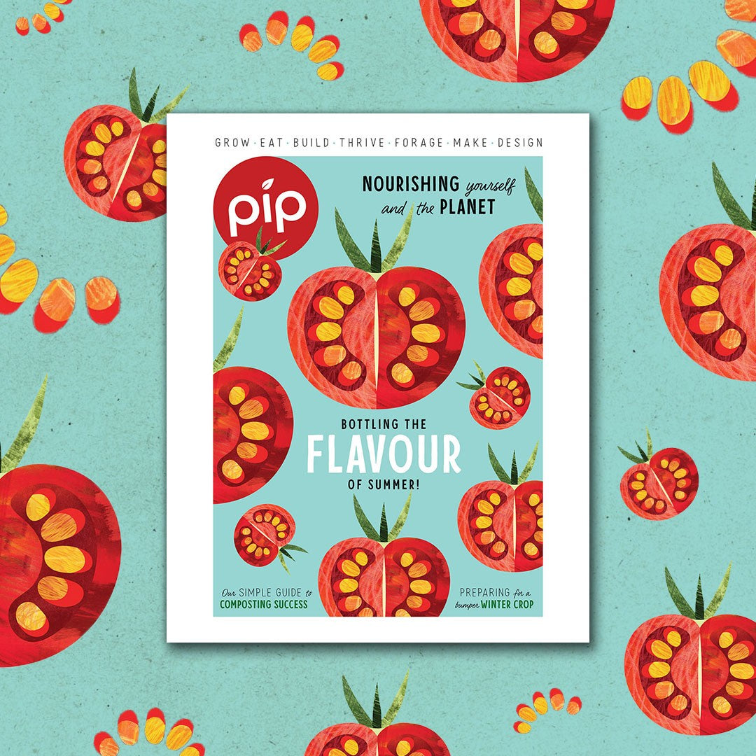 Pip Magazine: 0034