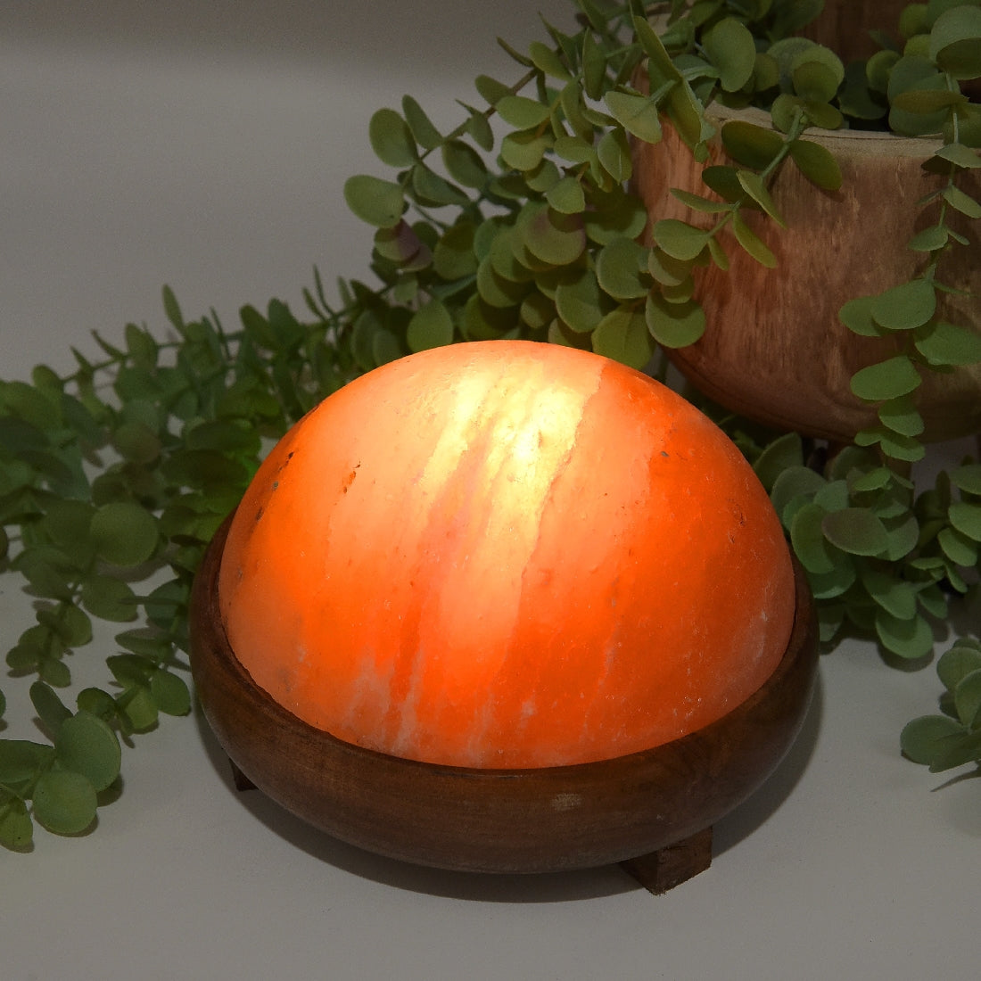 Himalayan Foot Detox Pad Salt Lamp