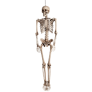 Large Skeleton