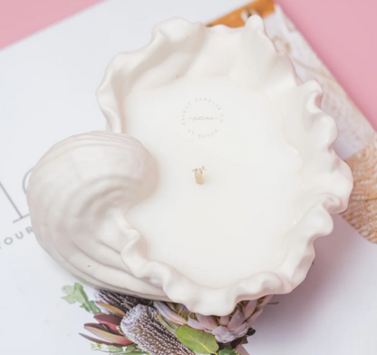 Seashell Vessel Candle [snt:coconut Lime]