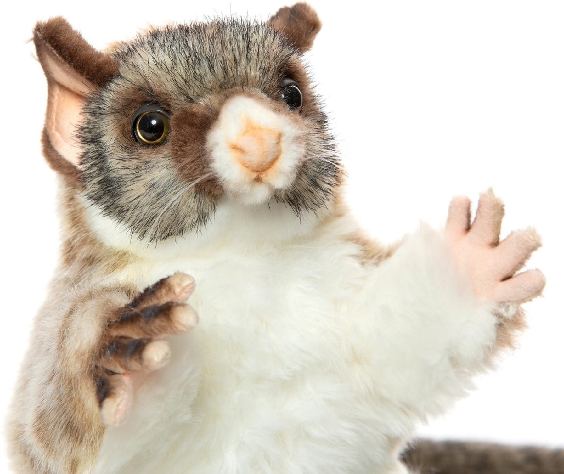Brush Tail Possum Puppet 