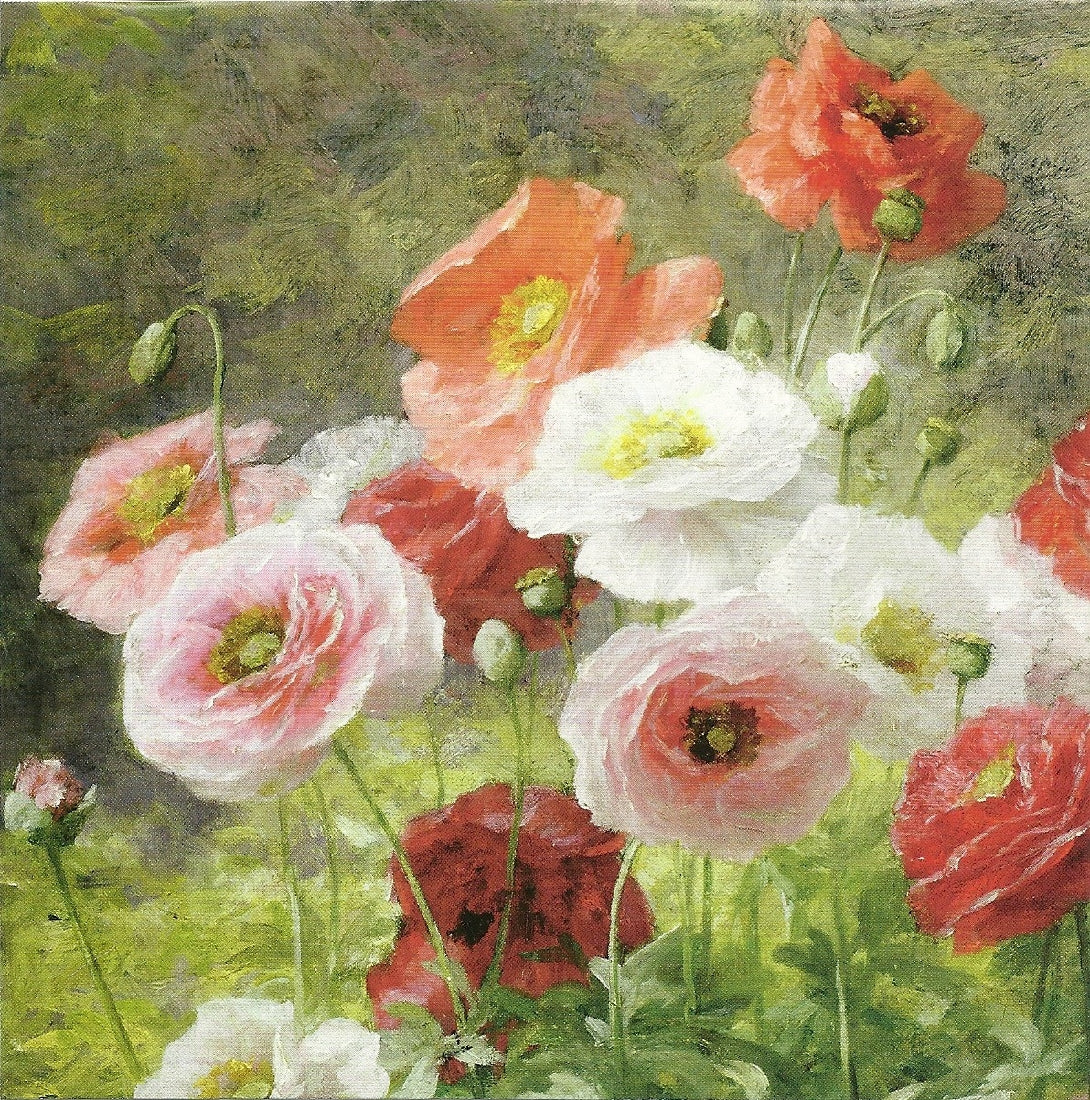 Mini Cards And Envelopes Wallet