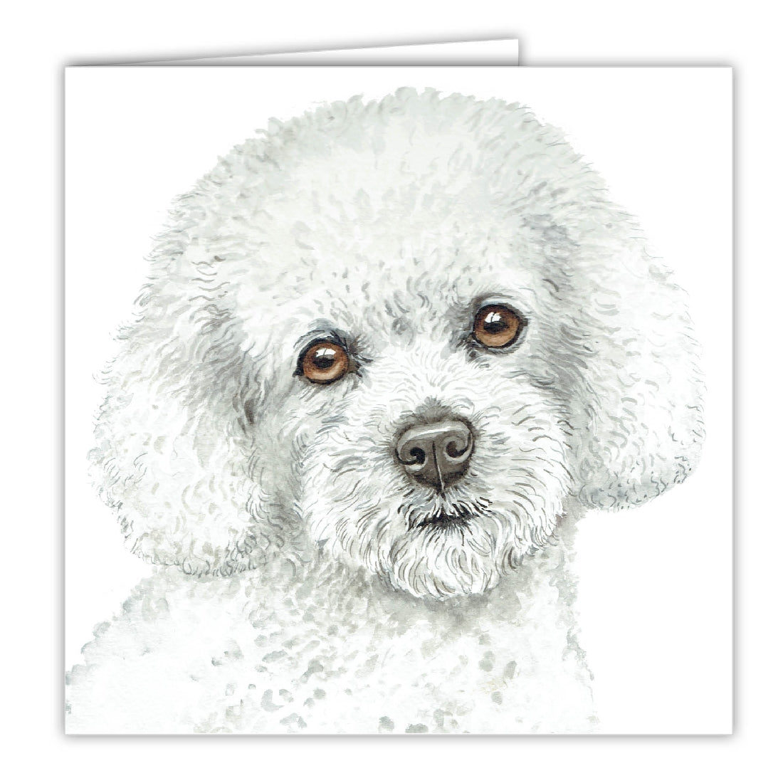 Bichon Frise Art Greeting Card