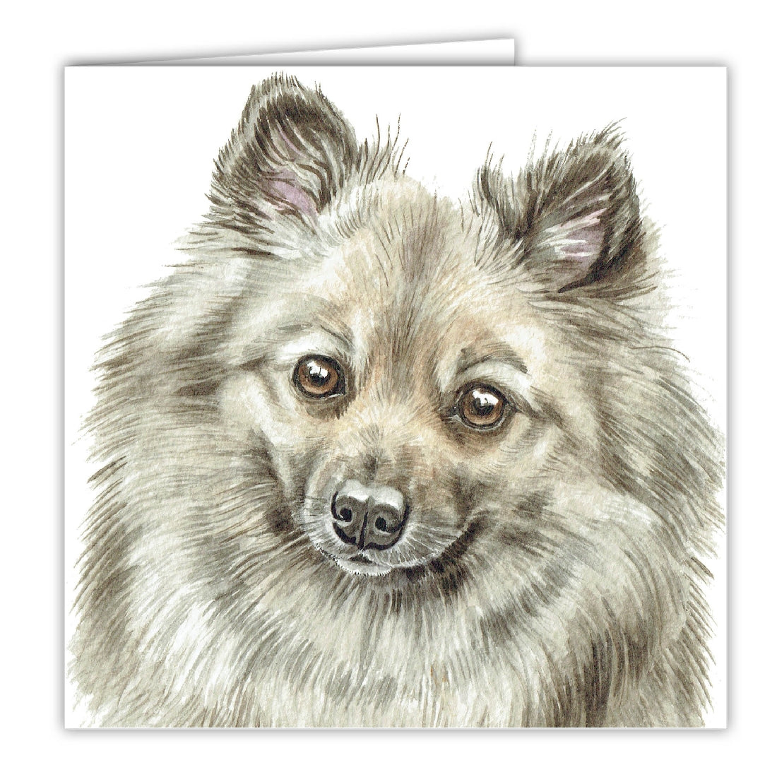 German Spitz Dog Art Greeting Card