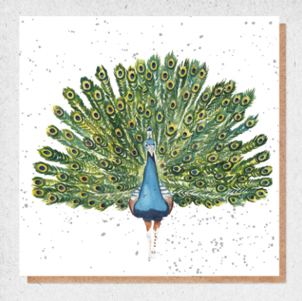 Peacock Water Colour Greeting Card