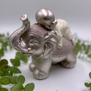 Baby Monk On Elephant