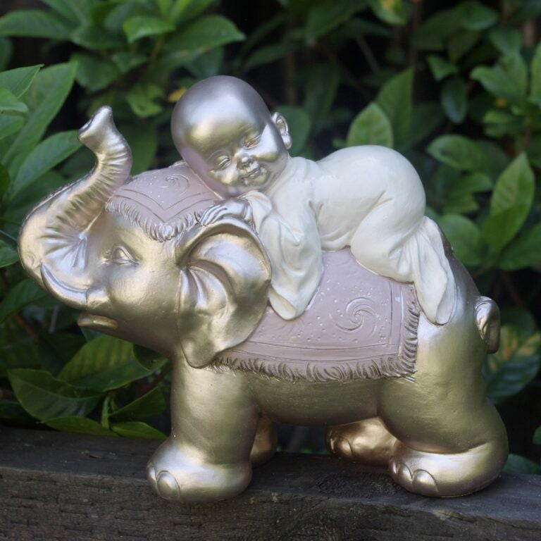 Baby Monk On Elephant