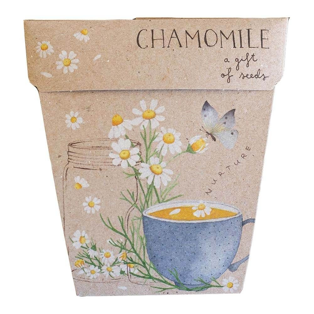 Seeds Chamomile