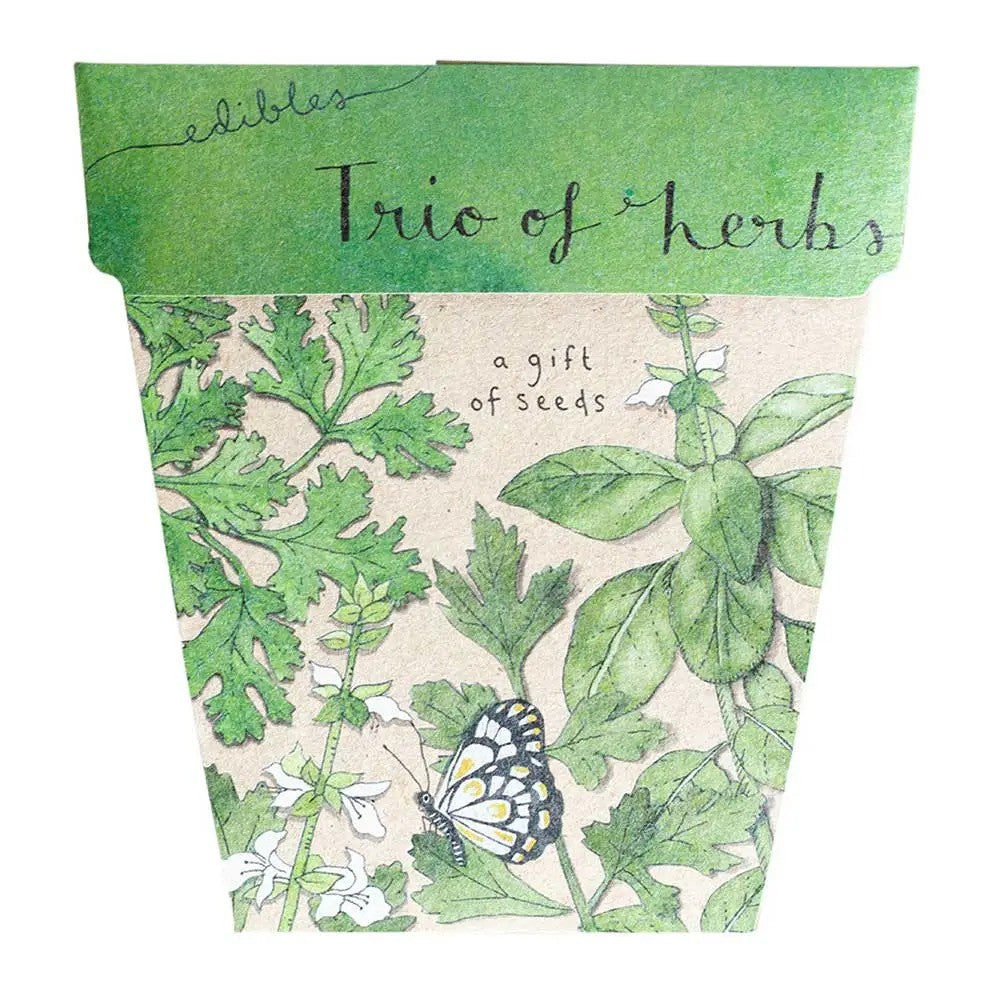 Seeds Trio Of Herbs