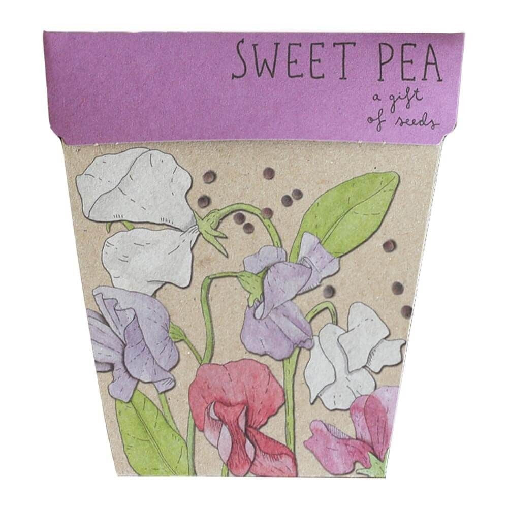 Seeds Sweet Pea