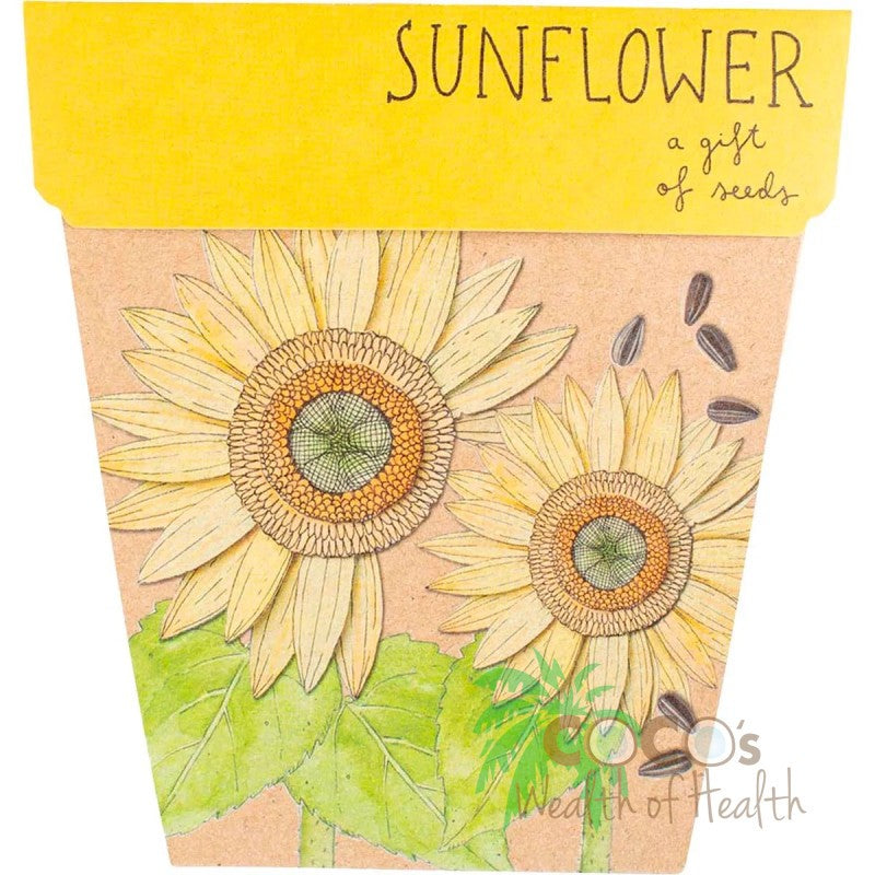 Seeds Sunflower