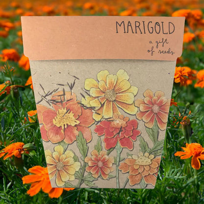 A Gift Of Seeds [dsgn:marigold]