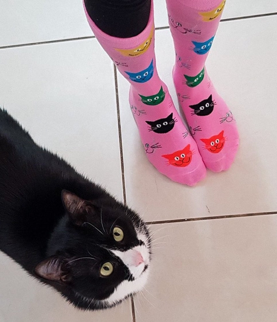 Purr-fection Sock-it Up Socks