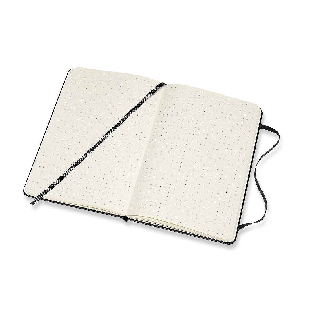 moleskine classic collection dotted notebook