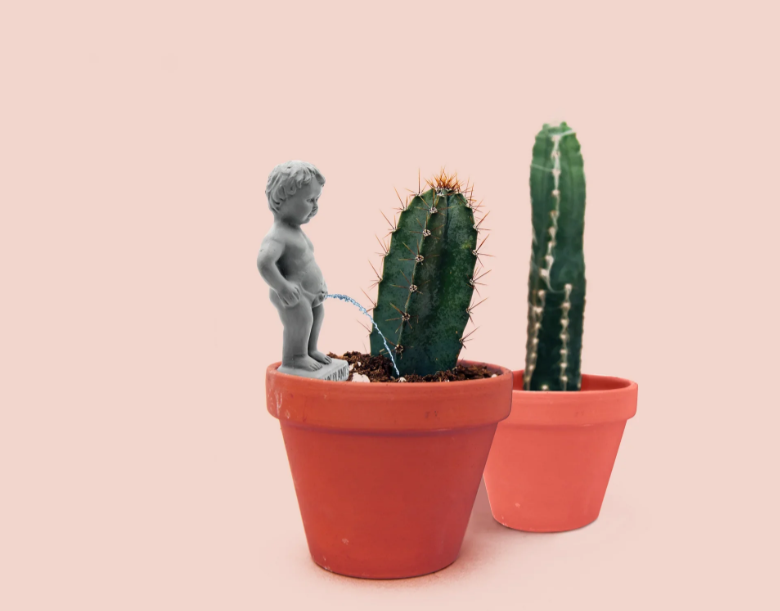 Pee My Plants Statue