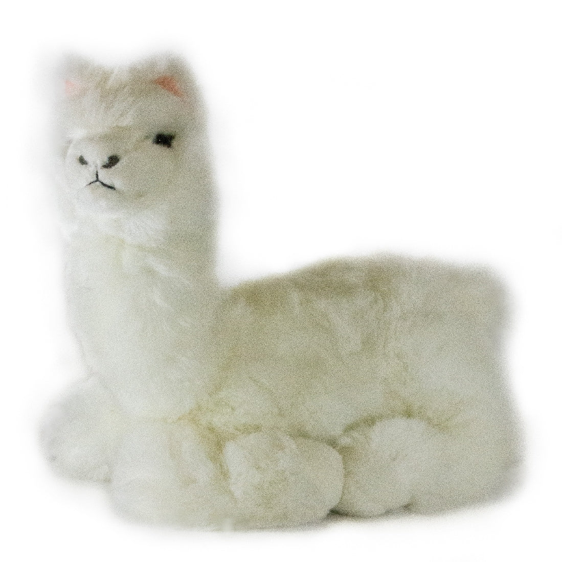 Bocchetta Plush Toys: Alfredo The Alpaca