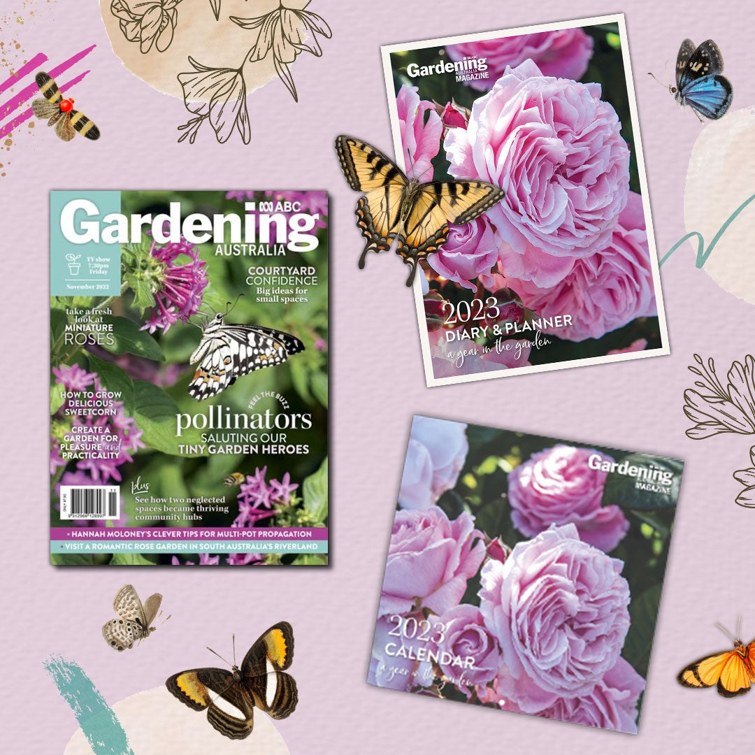 Gardening Australia: December 2024