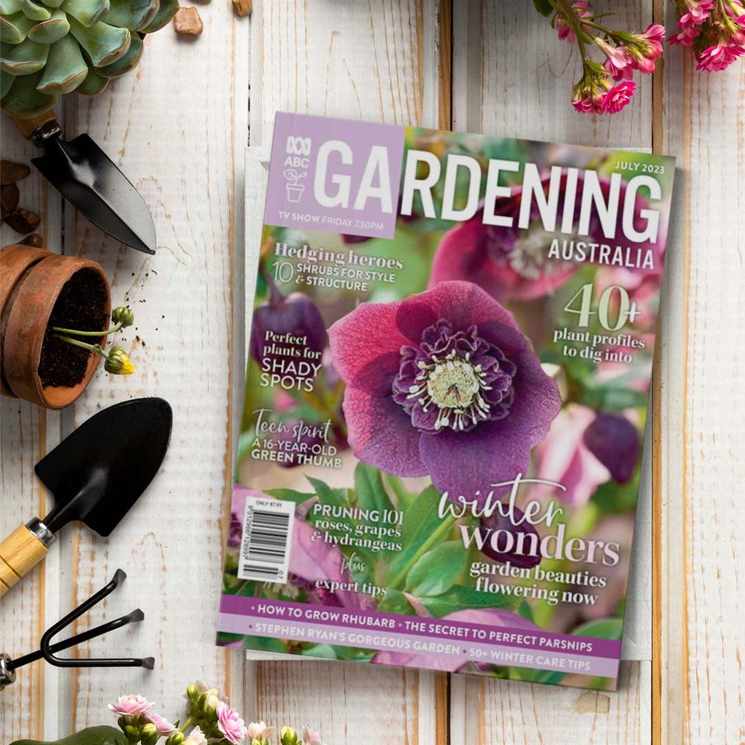 Gardening Australia: December 2024