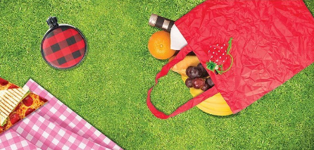 Is Gift Fold-up Lightweight Eco Bag Strawberry