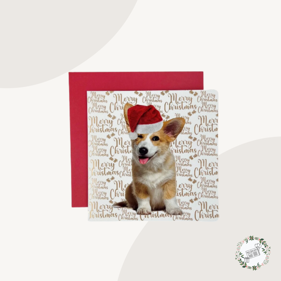 Christmas Corgi Premium Charity Christmas Cards 