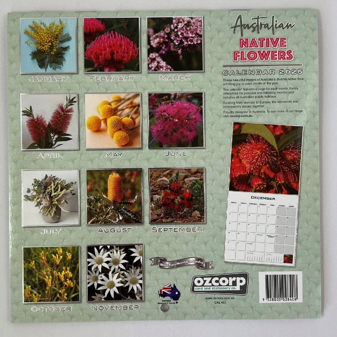 2025 Calendar Native Flowers