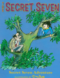 Enid Blyton's The Secret Seven Adventure 