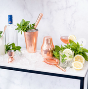 Cocktail Shaker 5pc Set Metallic Rose Gold