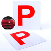 Magnetic P1 Plates