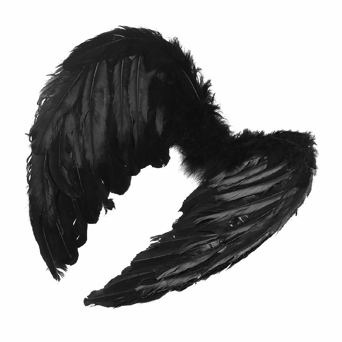 Feathered Angel Wings