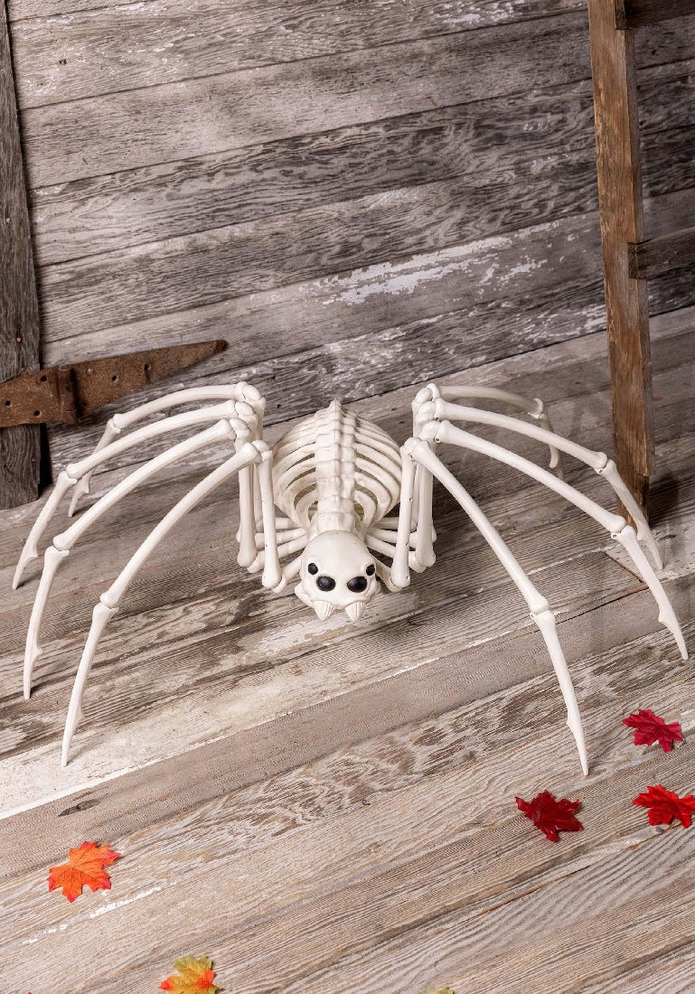 Spider Skeleton