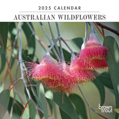 2025 12 Month Australian Wildflowers Mini Calendar