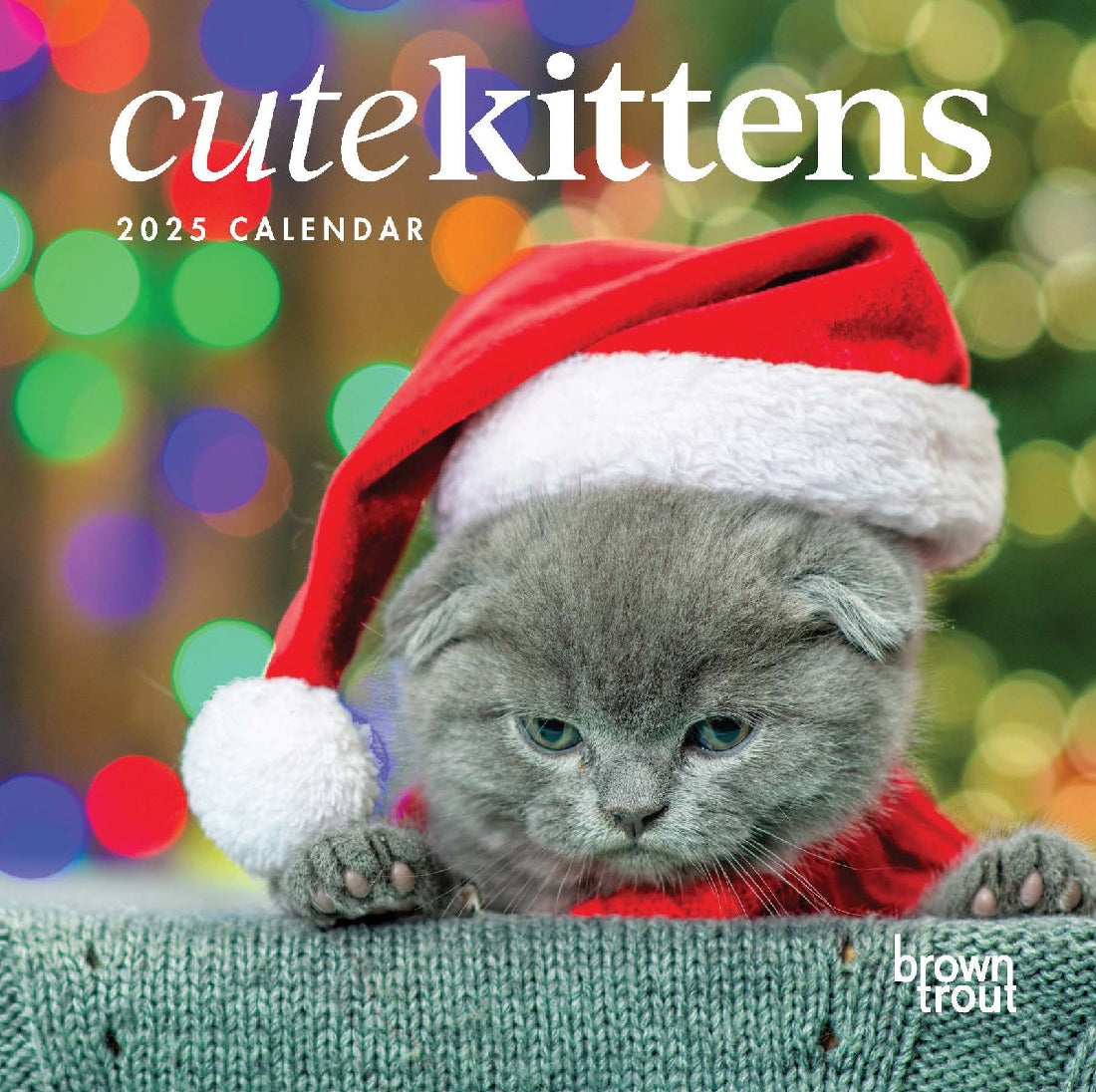 2025 12 Month Cute Kittens Wall Calendar