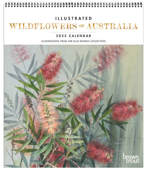 2025 12 Month Illustrated Wildflowers Of Australia Deluxe Wall Calendar