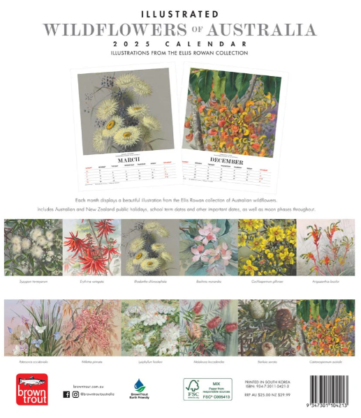 2025 12 Month Illustrated Wildflowers Of Australia Deluxe Wall Calendar