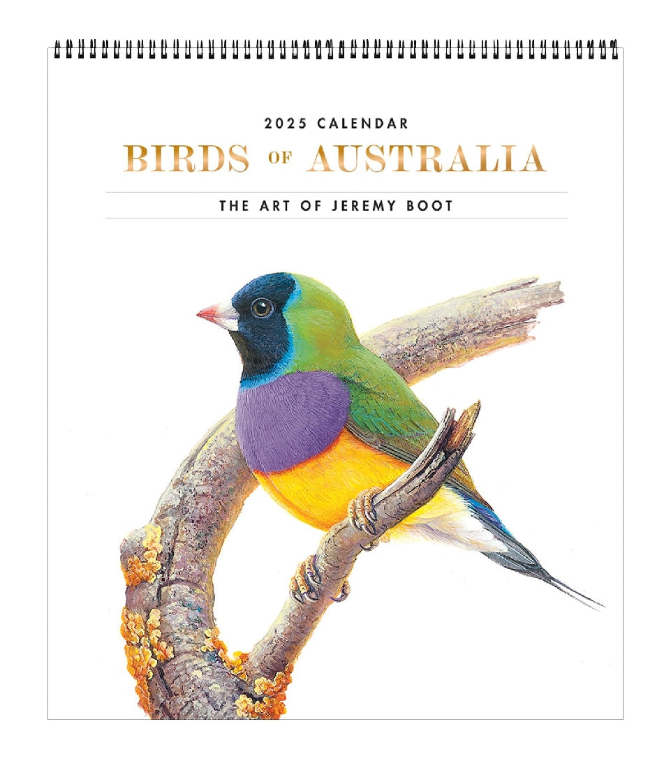 2025 12 Month Birds Of Australia The Art Of Jeremy Boot Deluxe Large Wall Calendar