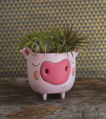 Baby Piggy Wiggy Planter