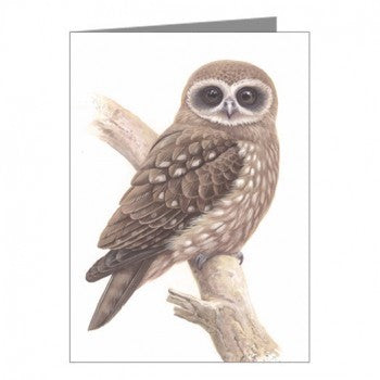 Owl Greeting Card