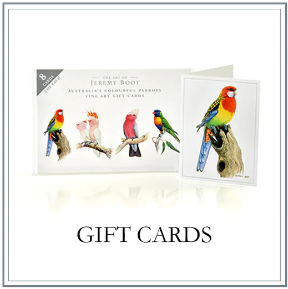 Gift Card Pack