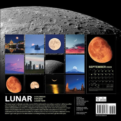 2025 12 Month Glow In The Dark Lunar Wall Calendar