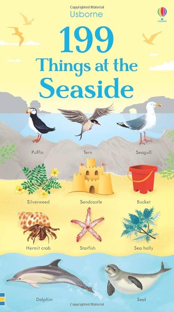 Usborne's 199 Things At The Seaside