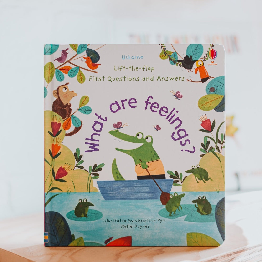 Usborne's What Are Feelings?