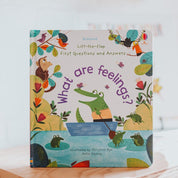 Usborne's What Are Feelings?
