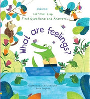 Usborne's What Are Feelings?